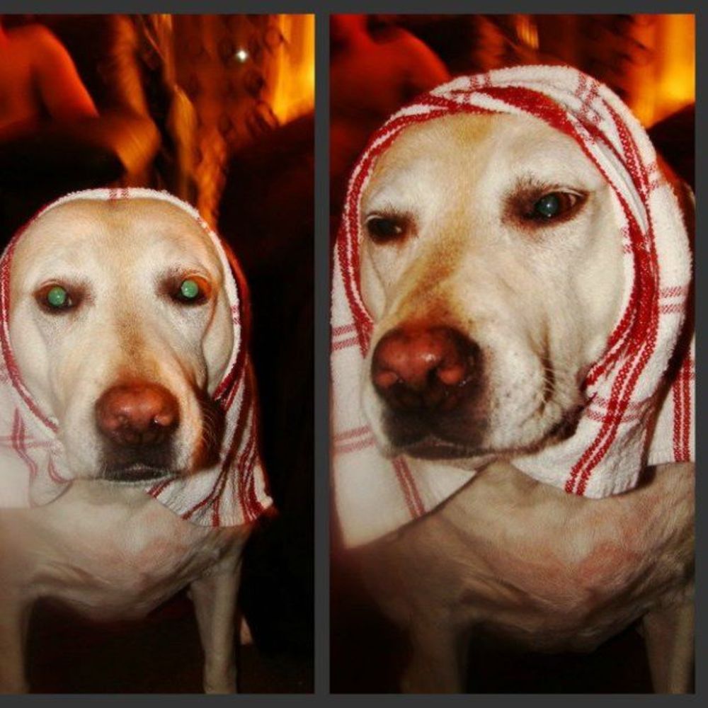 Meet your Posher, Alice